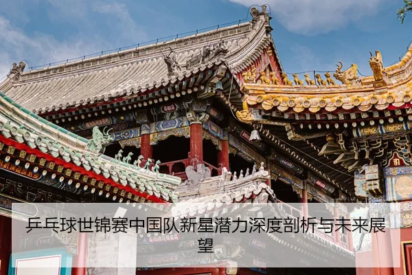 乒乓球世锦赛中国队新星潜力深度剖析与未来展望